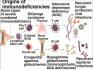 Immunity Disorders